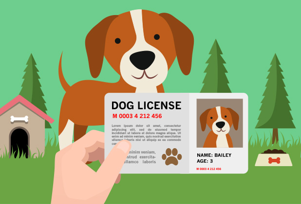 2024 Dog Registration Town Of Groton   Dog License 